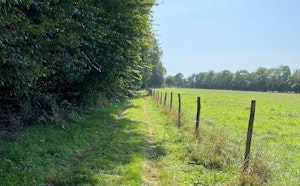 Plaine de Reviers