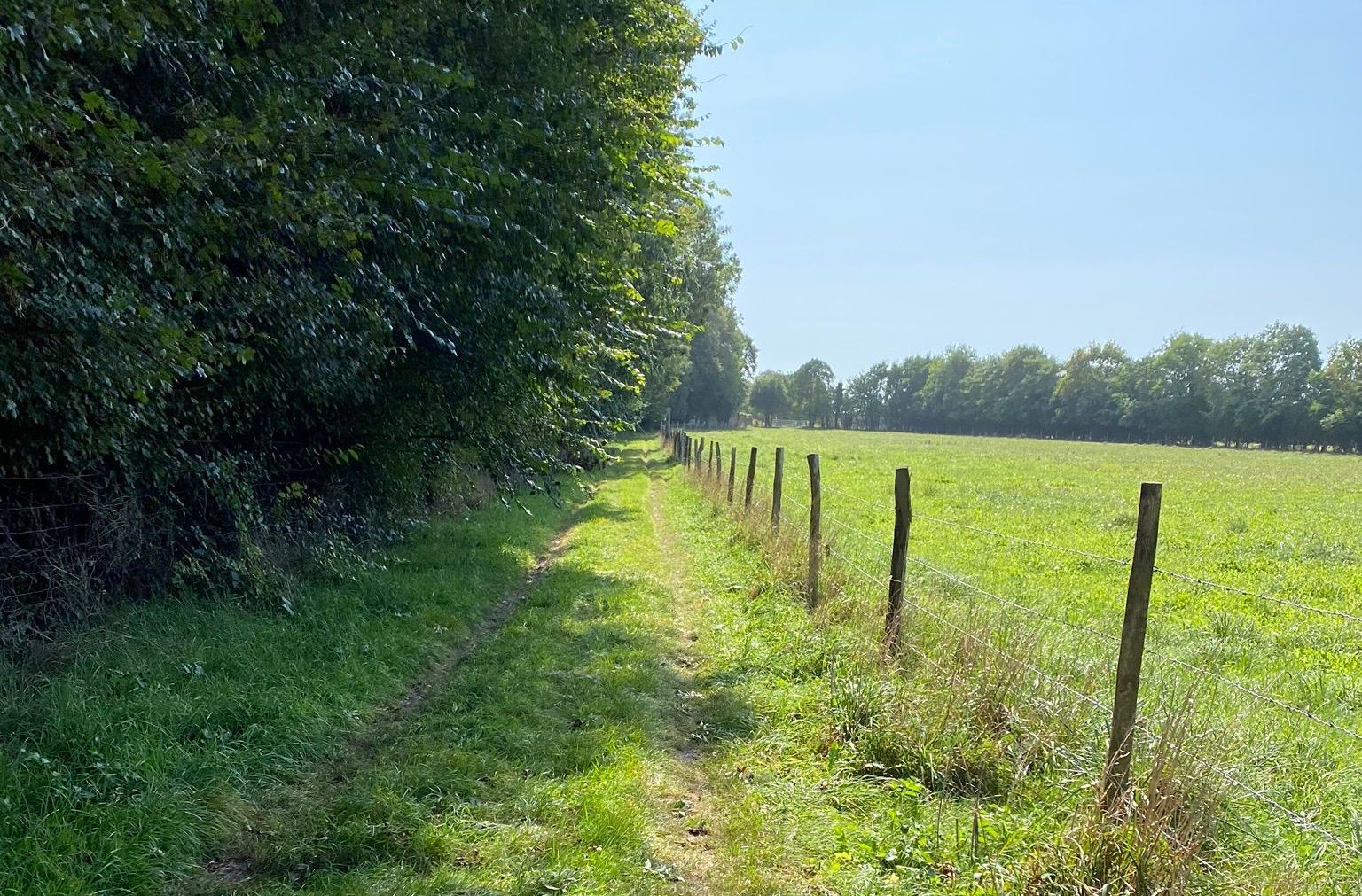 Plaine de Reviers