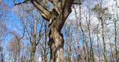 The Walk of King Arthur