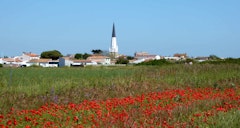 Around Ars-en-Ré