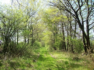 Autour de Béruges