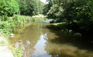 Around Jumilhac-le-Grand