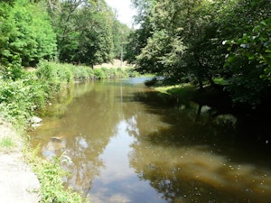 Around Jumilhac-le-Grand