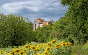 Around La Chapelle-Gonaguet