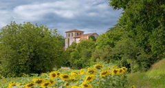 Around La Chapelle-Gonaguet 