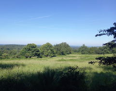 Around Montrol-Sénard