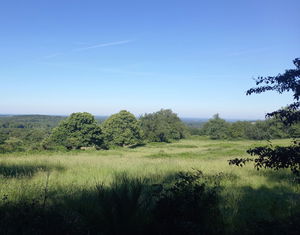 Autour de Montrol-Sénard