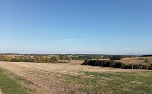 Around Muzenangle