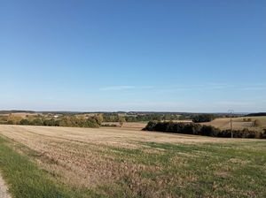 Autour de Muzenangle