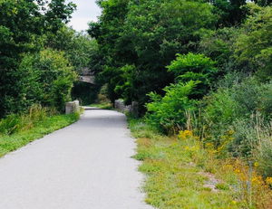 Around Nueil-les-Aubiers