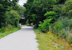 Autour de Nueil-les-Aubiers