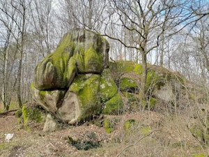 Around Vauzelle