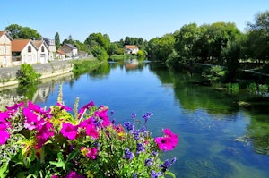Banks of the Charente from Châteauneuf-sur-Charente