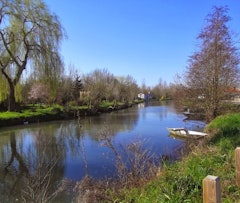 Banks of the Sèvre Niortaise