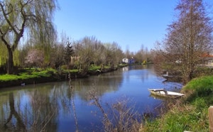 Banks of the Sèvre Niortaise