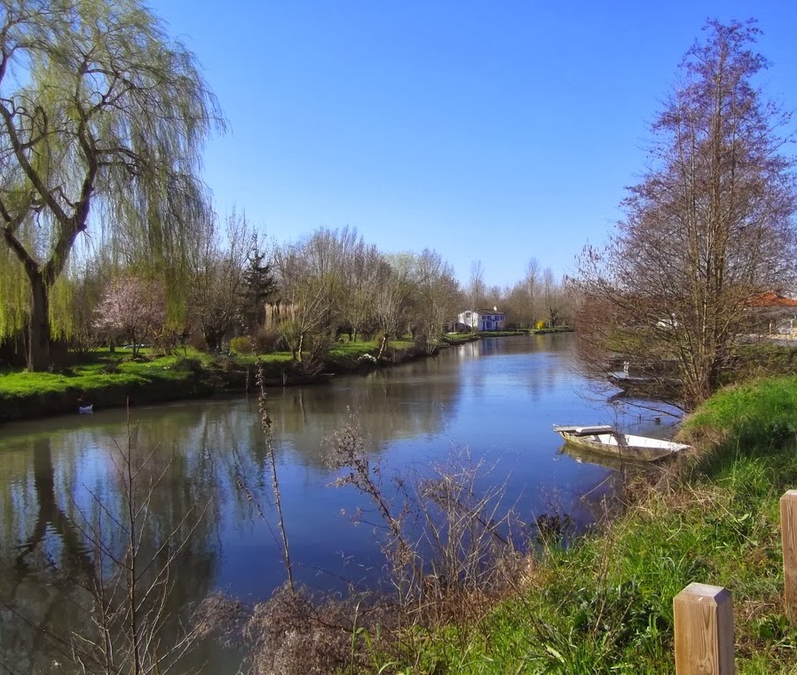 Bords de la Sèvre Niortaise