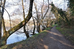 Banks of the Vienne
