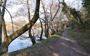 Banks of the Vienne