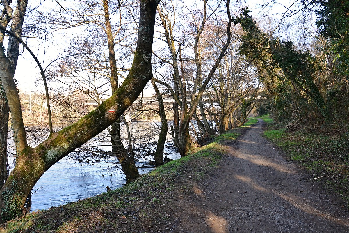Bords de Vienne