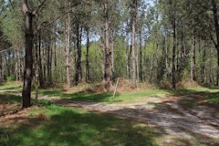 Barzague