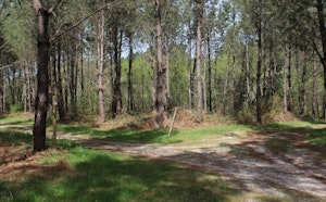 Barzague
