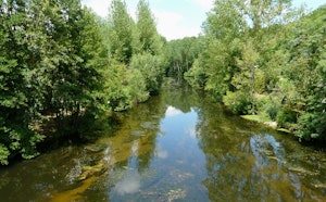Between Saint-Généroux and Ligaine