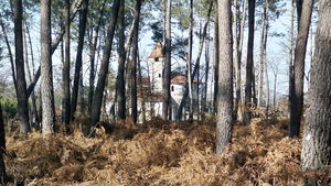 Entre Saint-Justin et Douzevielle