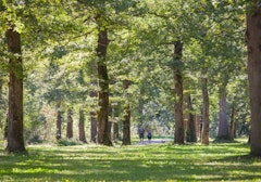 Bois de Boulogne