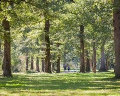 Bois de Boulogne
