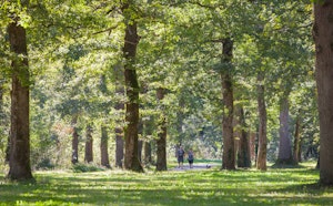 Bois de Boulogne