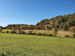 Bois de Chez Guillet