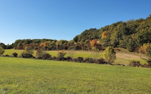 Bois de Chez Guillet