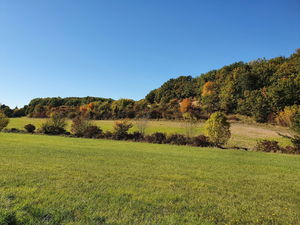 Bois de chez Guillet