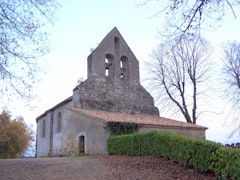 Bois de Marquésine