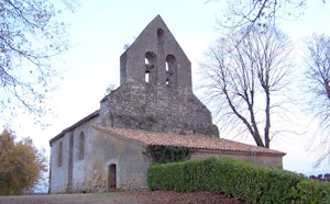 Bois de Marquésine