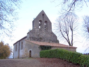 Bois de Marquésine