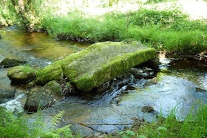 Chemin des moines de Grandmont