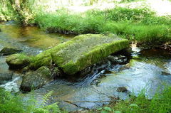 Chemin des Moines de Grandmont
