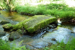 Chemin des moines de Grandmont