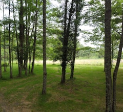 Circuit des Airials