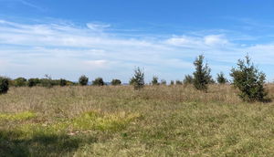 Combes de Bazérac et d'Escure