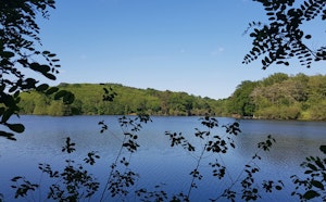 Étang de Lachamp