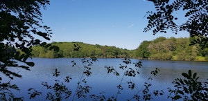 Étang de Lachamp