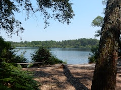 Étang de Moliets