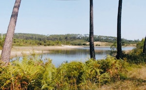 Étang des Belettes