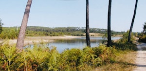 Étang des Belettes 