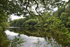 Étangs de Saint-Gence