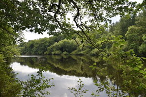 Étangs de Saint-Gence