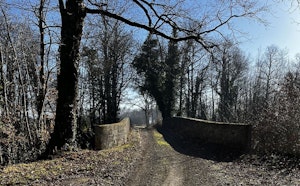 Forest of Loubert