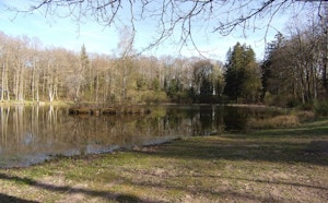 Forêt de Chénérailles